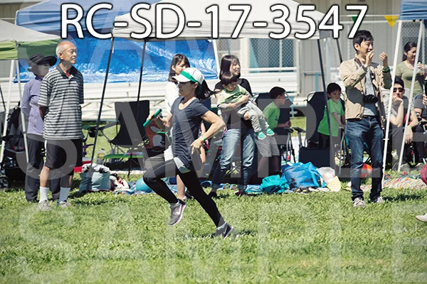 RC-SD-17-3547.jpg