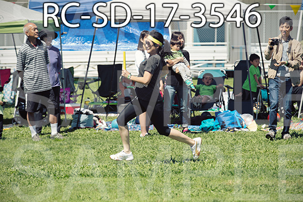 RC-SD-17-3546.jpg