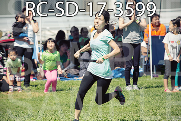 RC-SD-17-3599.jpg