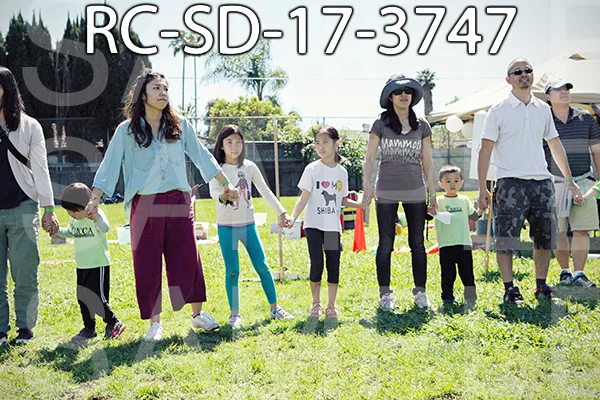 RC-SD-17-3747.jpg