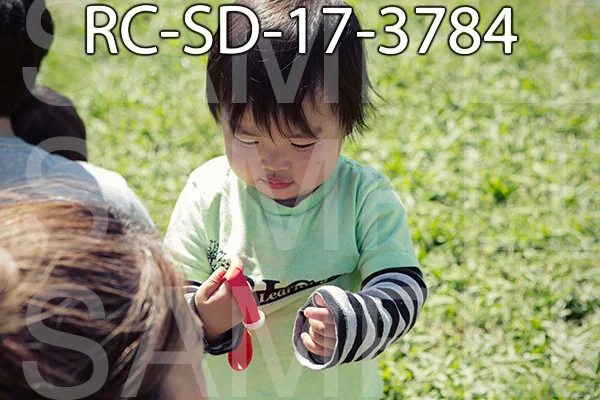 RC-SD-17-3784.jpg