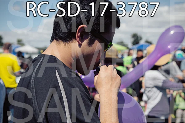 RC-SD-17-3787.jpg