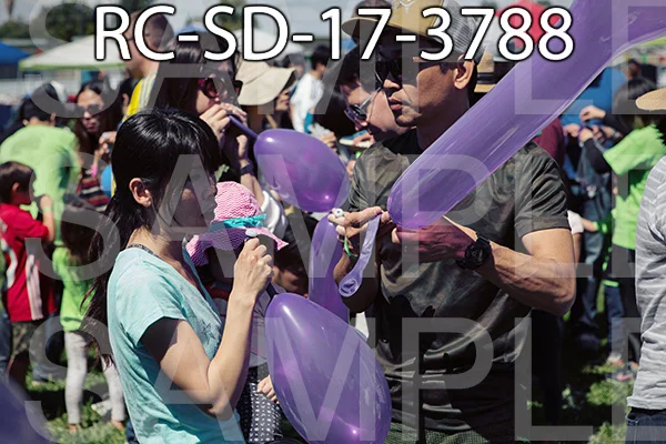 RC-SD-17-3788.jpg