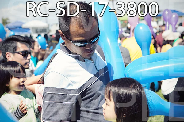 RC-SD-17-3800.jpg