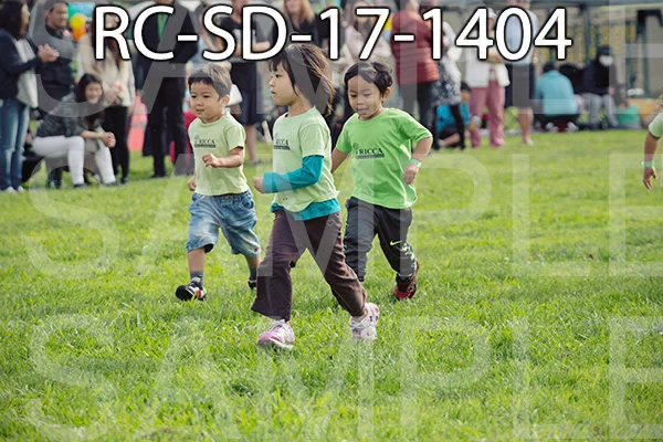 RC-SD-17-1404.jpg