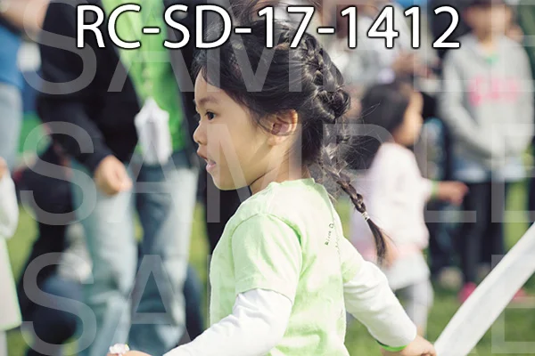 RC-SD-17-1412.jpg