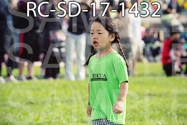 RC-SD-17-1432.jpg