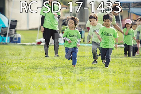RC-SD-17-1433.jpg