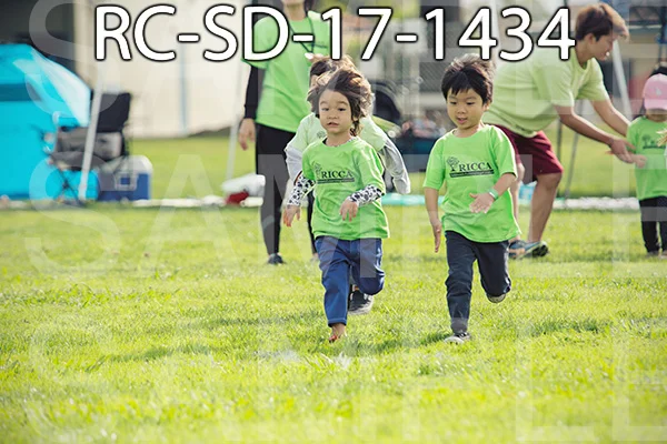 RC-SD-17-1434.jpg