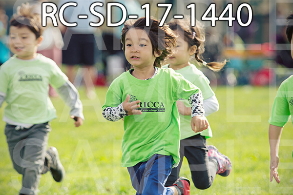 RC-SD-17-1440.jpg