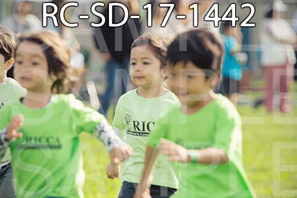RC-SD-17-1442.jpg