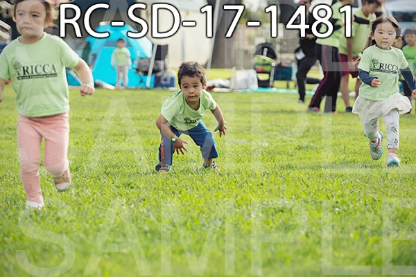 RC-SD-17-1481.jpg