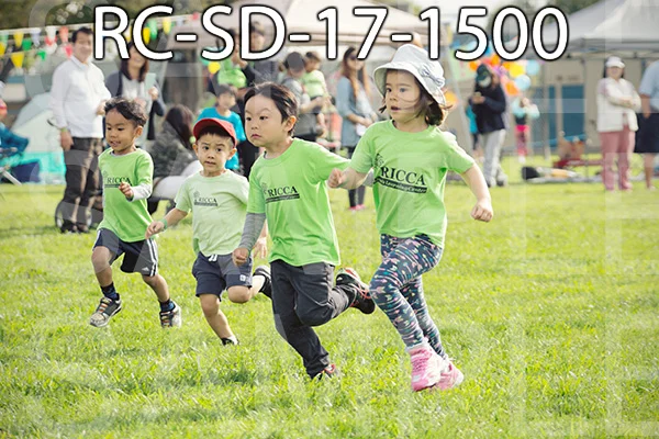 RC-SD-17-1500.jpg