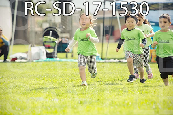 RC-SD-17-1530.jpg