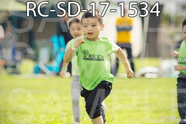 RC-SD-17-1534.jpg