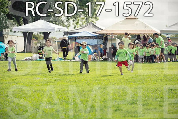 RC-SD-17-1572.jpg