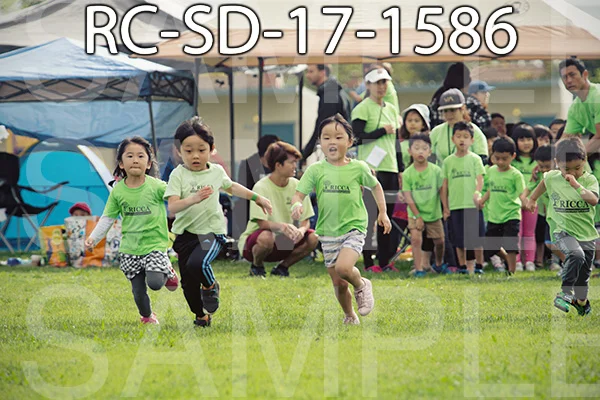 RC-SD-17-1586.jpg