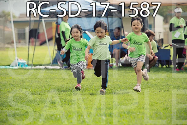RC-SD-17-1587.jpg