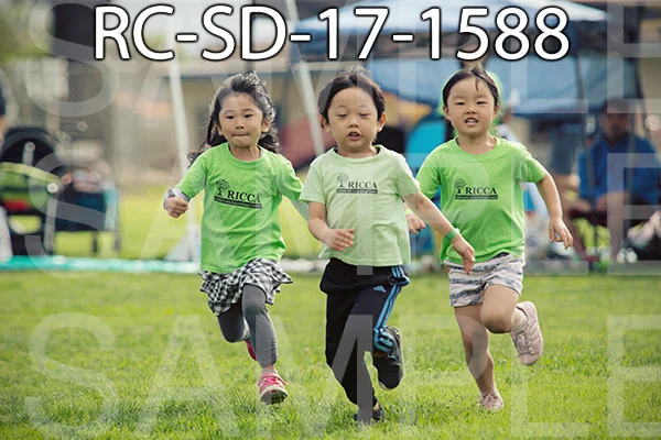 RC-SD-17-1588.jpg