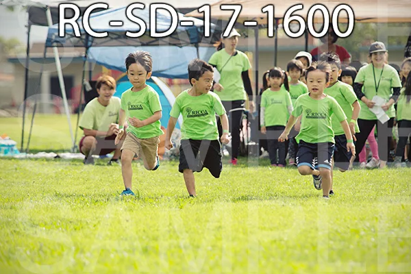 RC-SD-17-1600.jpg