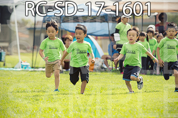 RC-SD-17-1601.jpg