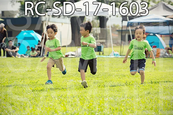 RC-SD-17-1603