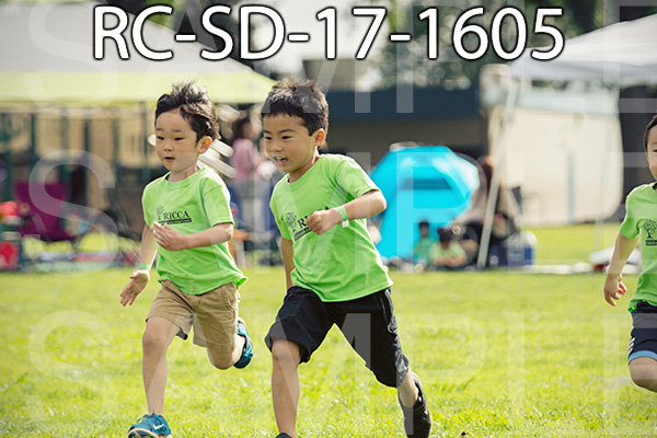 RC-SD-17-1605