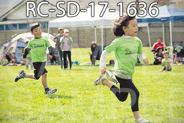 RC-SD-17-1636.jpg