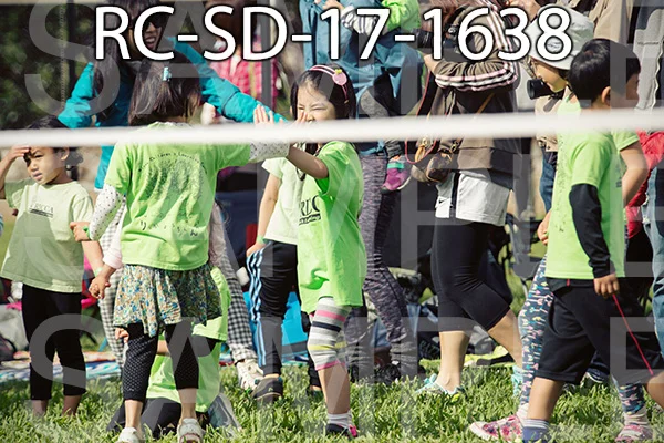 RC-SD-17-1638