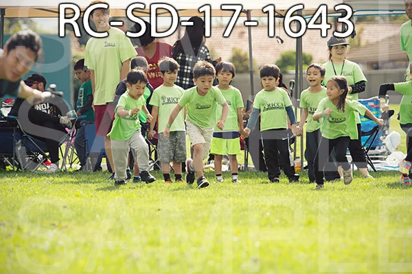 RC-SD-17-1643.jpg