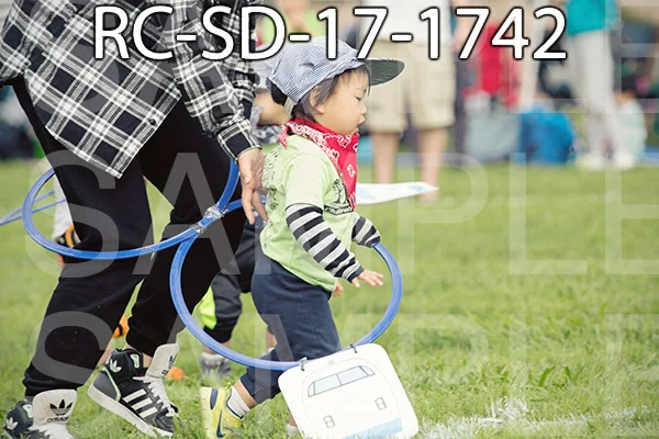 RC-SD-17-1742.jpg