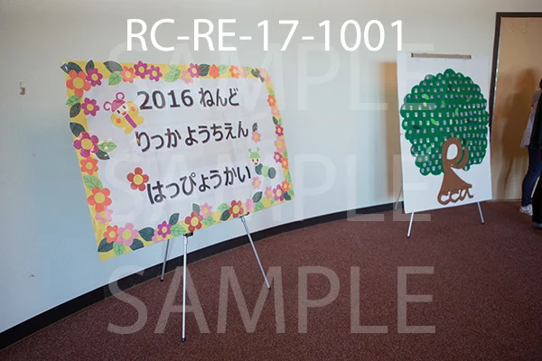 RC-RE-17-1001.jpg