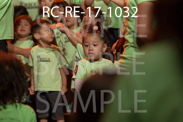RC-RE-17-1032.jpg