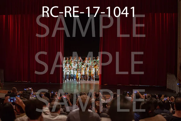 RC-RE-17-1041.jpg