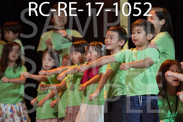 RC-RE-17-1052.jpg