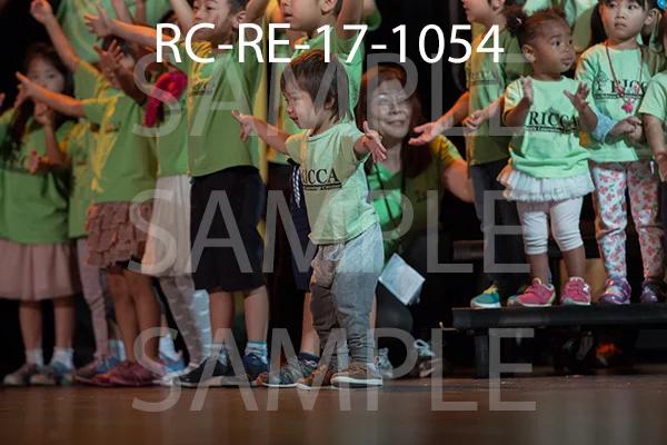 RC-RE-17-1054.jpg