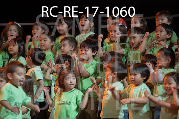 RC-RE-17-1060.jpg