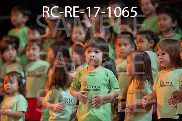 RC-RE-17-1065.jpg