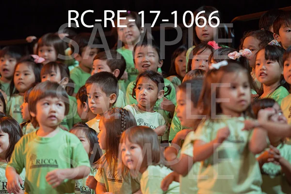 RC-RE-17-1066.jpg