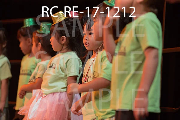 RC-RE-17-1212.jpg