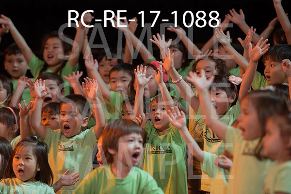 RC-RE-17-1088.jpg