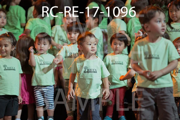 RC-RE-17-1096.jpg