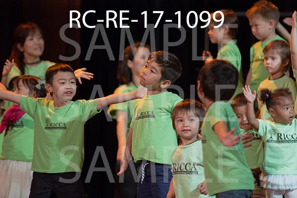 RC-RE-17-1099.jpg