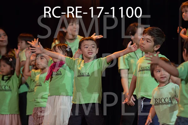 RC-RE-17-1100.jpg