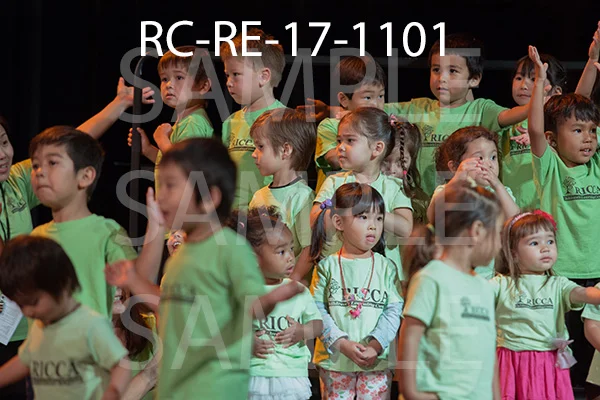 RC-RE-17-1101.jpg