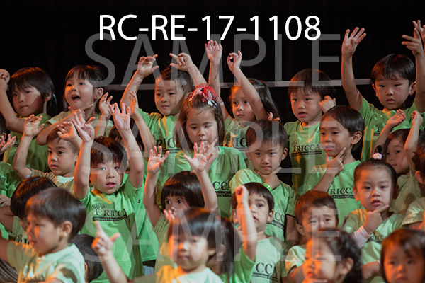RC-RE-17-1108.jpg