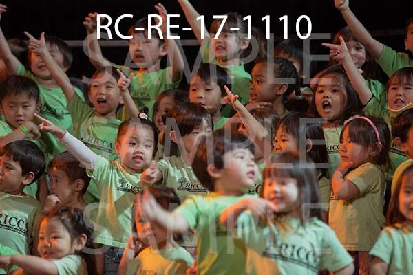 RC-RE-17-1110.jpg