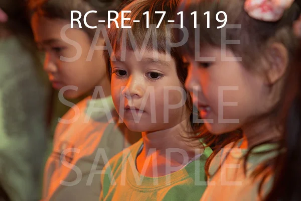 RC-RE-17-1119.jpg