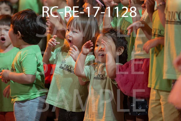 RC-RE-17-1128.jpg