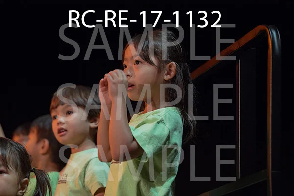 RC-RE-17-1132.jpg